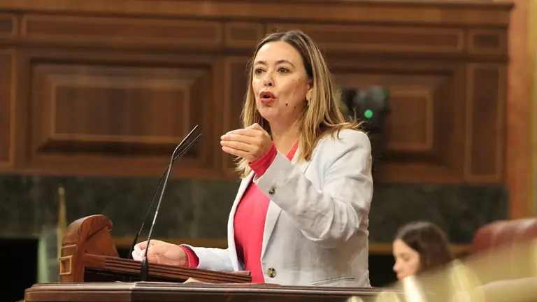 María Dolores Corujo en una intervención en el Congreso de los Diputados