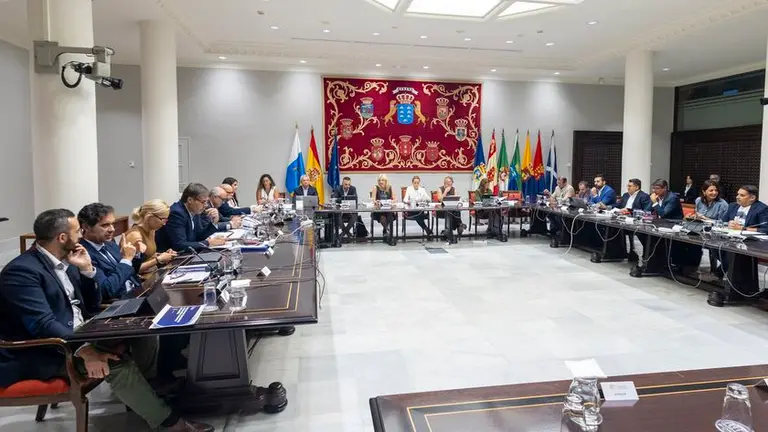Imagen del encuentro de la Comisión de Sanidad en el Parlamento de Canarias.