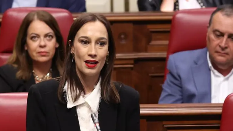 La diputada del PSOE durante su intervención.