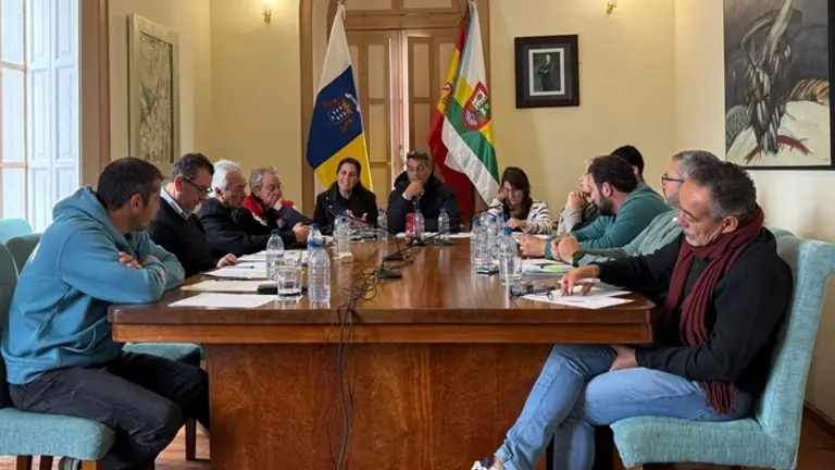 Pleno del Ayuntamiento de Har&iacute;a.