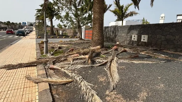 Jardines de Playa Blanca.