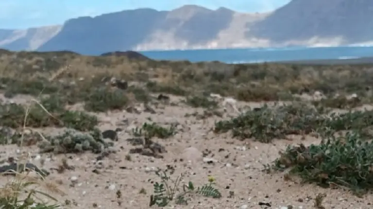 Imagen de zona de jable enfrente de Famara.
