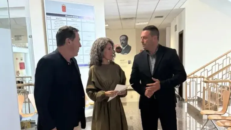 Ariagona Gonz&aacute;lez con Noda y P&eacute;rez cuando decidieron abandonar un pleno del Cabildo.