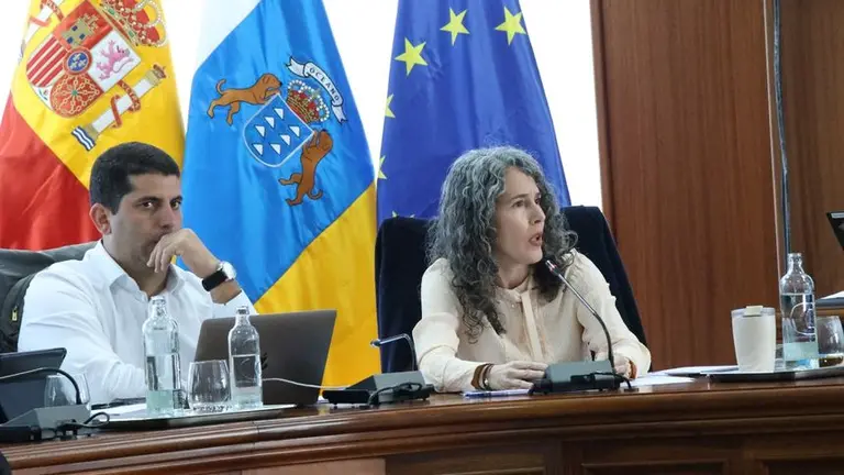Benjam&iacute;n Perdomo y Ariagona Gonz&aacute;lez en un pleno del Cabildo