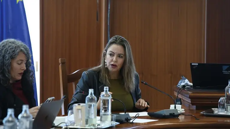 Mar&iacute;a Dolores Corujo en un pleno del Cabildo