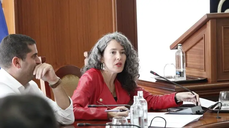 Ariagona Gonz&aacute;lez en una intervenci&oacute;n en un pleno del Cabildo de Lanzarote.