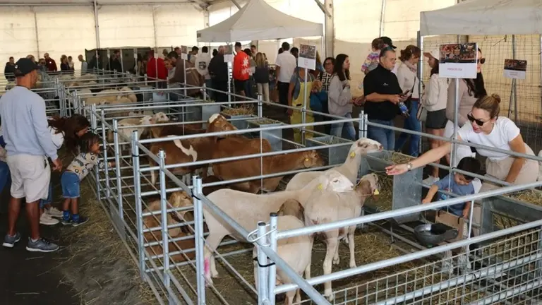 Imagen de archivo de la Feria de Ganado de Uga.