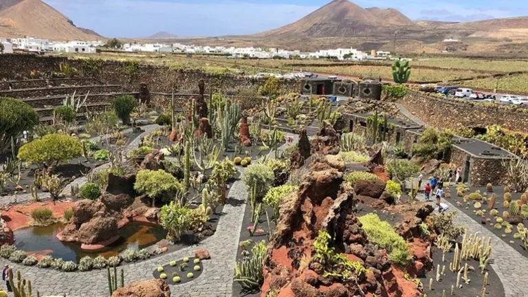 Jard&iacute;n de Cactus.