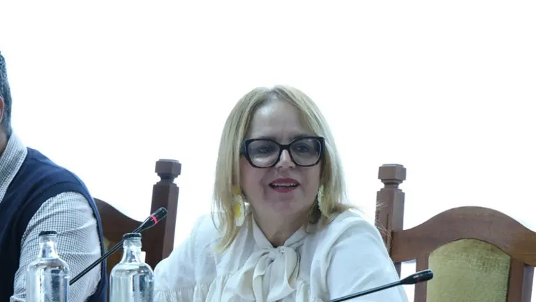 Nori Mach&iacute;n en el Pleno del Cabildo.