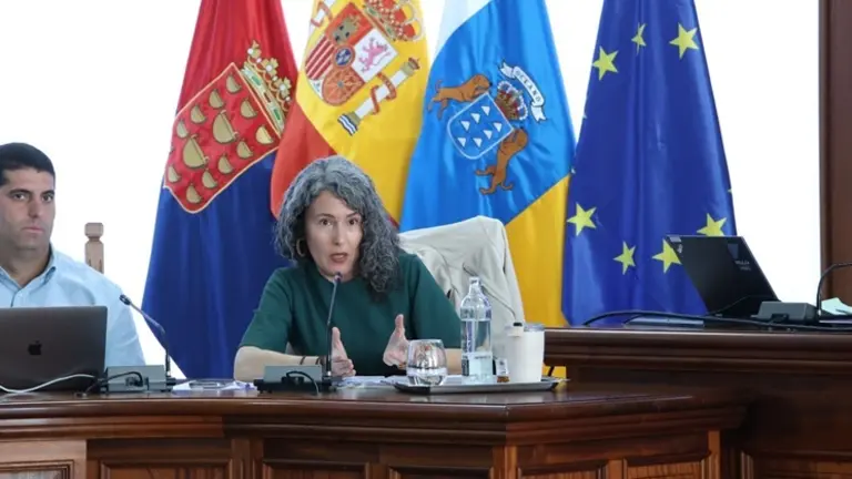 Ariagona Gonz&aacute;lez en el Pleno del Cabildo.