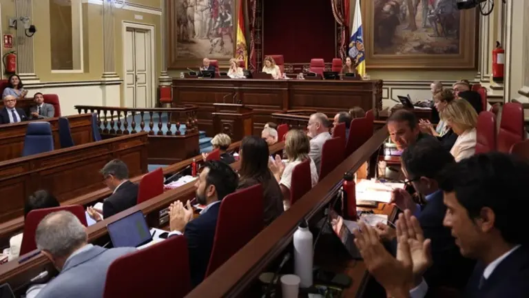 Parlamento de Canarias aprobando la votaci&oacute;n.