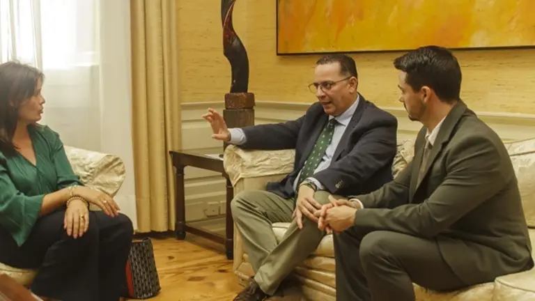 Olivia Duque en el Parlamento de Canarias junto a Pol&iacute; Su&aacute;rez y David Toledo.