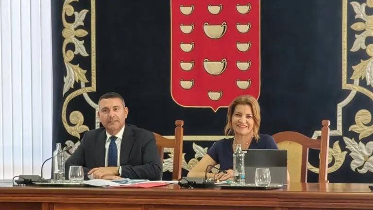 Oswaldo Betancort y Mar&iacute;a Jes&uacute;s Tovar en Pleno del Cabildo.