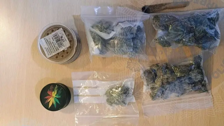 Material incautado por la Polic&iacute;a Local de Arrecife.