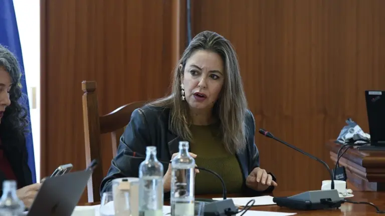 Mar&iacute;a Dolores Corujo en el centro de la imagen en un pleno del Cabildo junto a su compa&ntilde;era Ariagona Gonz&aacute;lez.