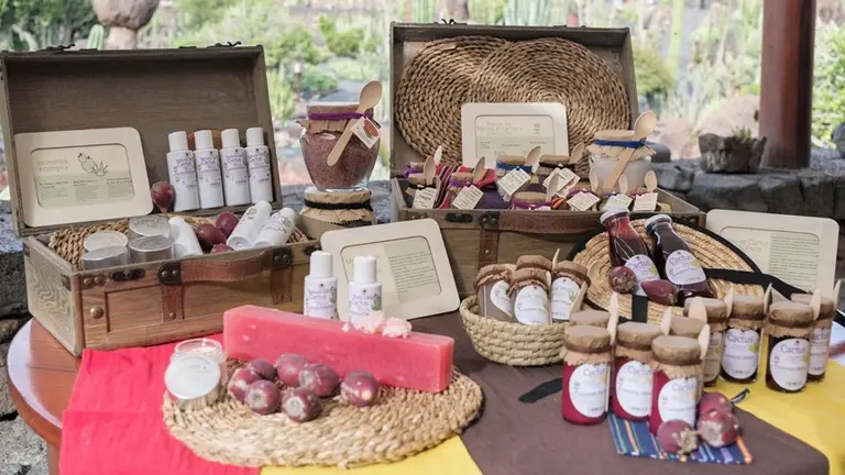 Nuevos productos de los CACT.