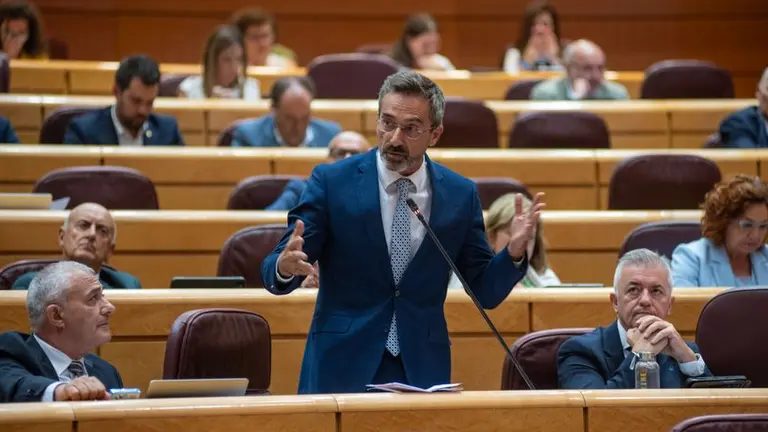 Pedro San Gin&eacute;s en una intervenci&oacute;n en el Senado.