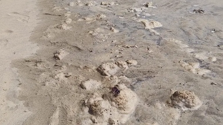 Presencia de los restos fecales este pasado fin de semana donde Sanidad tom&oacute; muestras en la Punta del Camello, junto al aliviadero del Consorcio del Agua de Lanzarote.