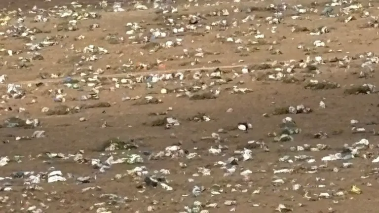 Bolsas en la zona de Zonzamas.