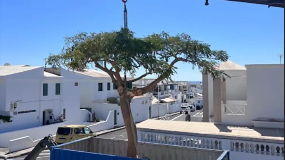 Imagen de uno de los traslados que se ha realizado.