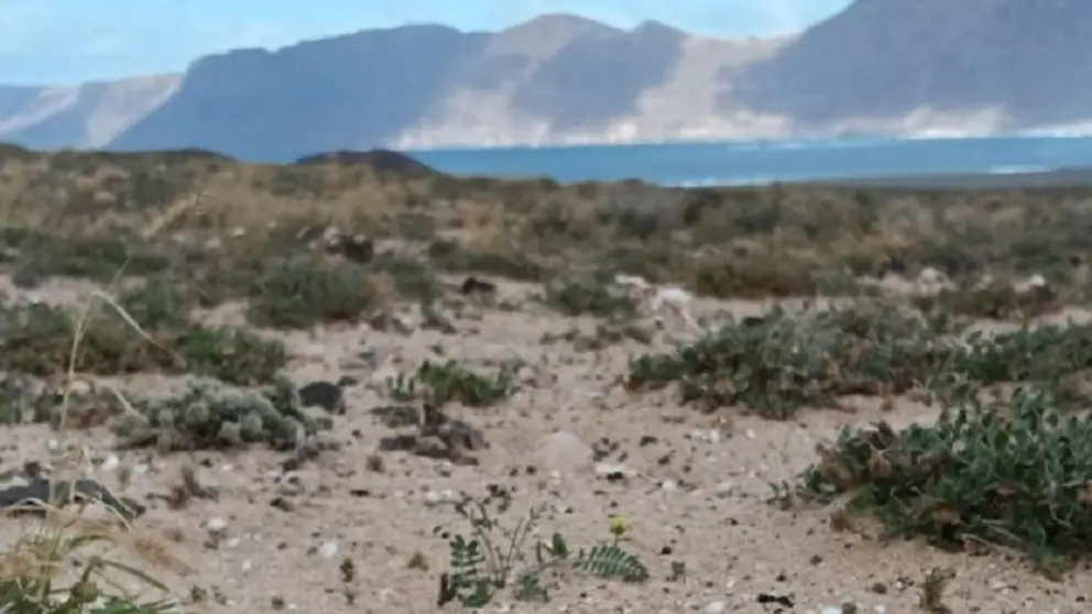 Imagen de zona de jable enfrente de Famara.