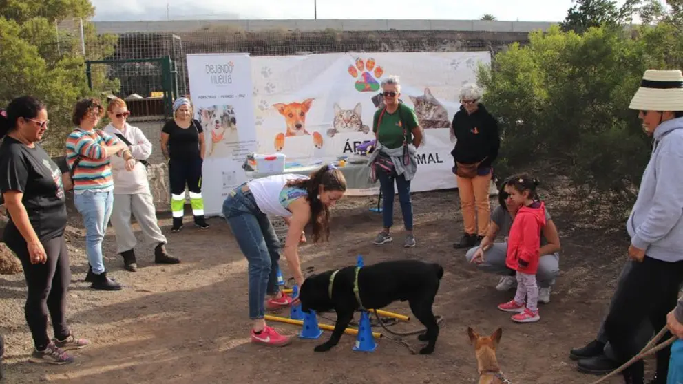 Imagen de las jornadas de bienestar animal celebradas en Yaiza el a&ntilde;o pasado