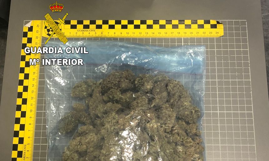 foto mcs marihuana FVT