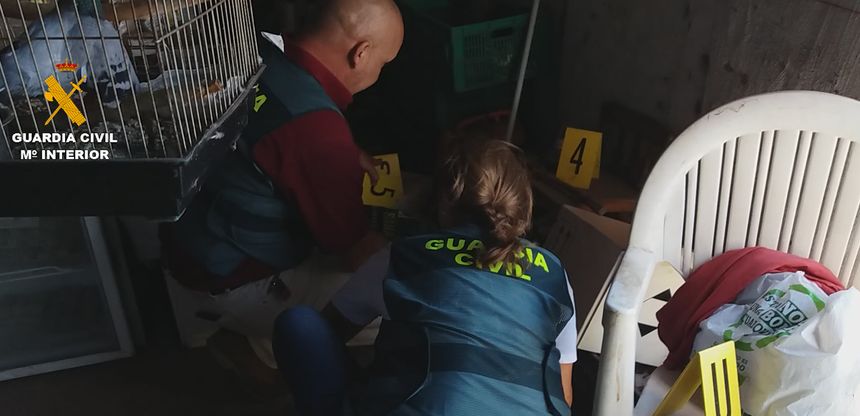 op_mic_las_palmas_editada.00_00_27_03.Imagen fija002