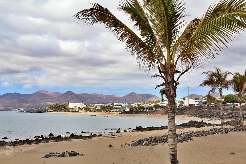 DH FotógrafaIMG_4422