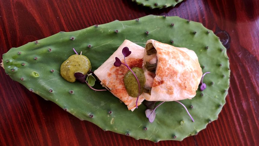 Jardin de Cactus (5) Sergio Foto