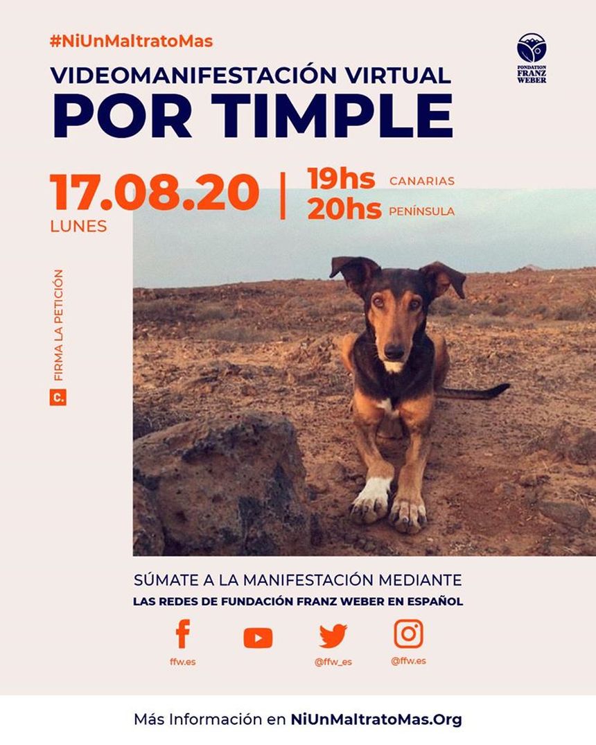 Cartel videomanifestacion