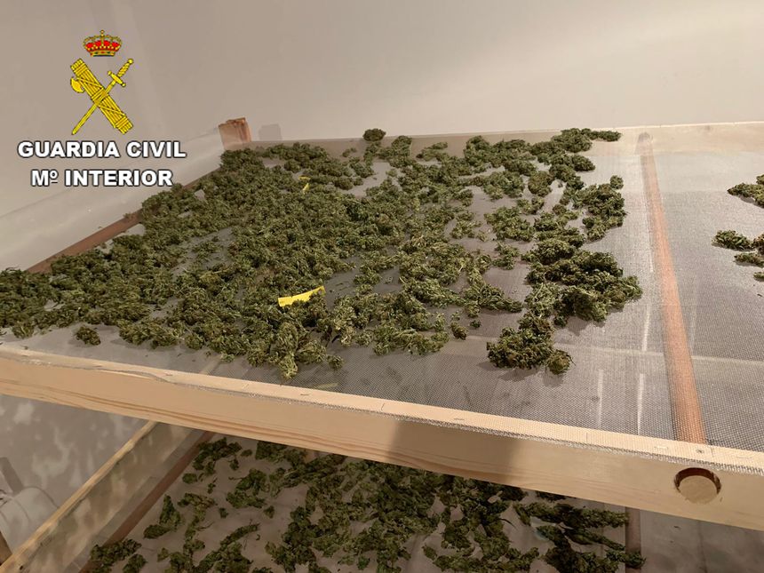 foto mcs yaiza marihuana