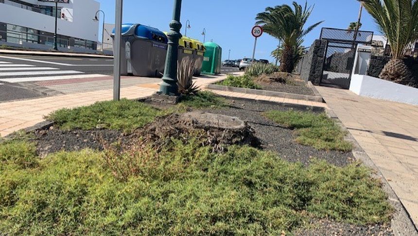 thumbnail_image0 (1)