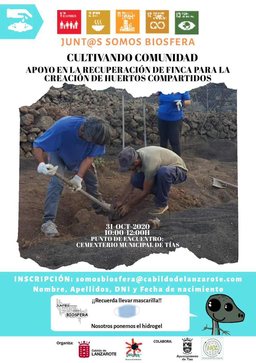 CARTEL VOLUNTARIADO 31 OCT