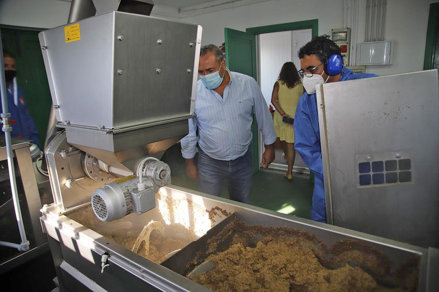 Almazara insular 2020 (3)