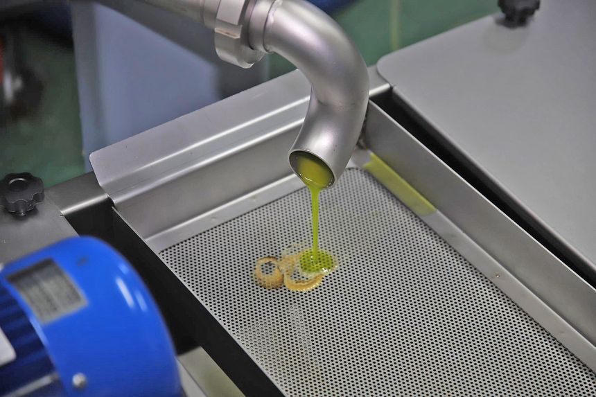 Almazara insular 2020 (2)