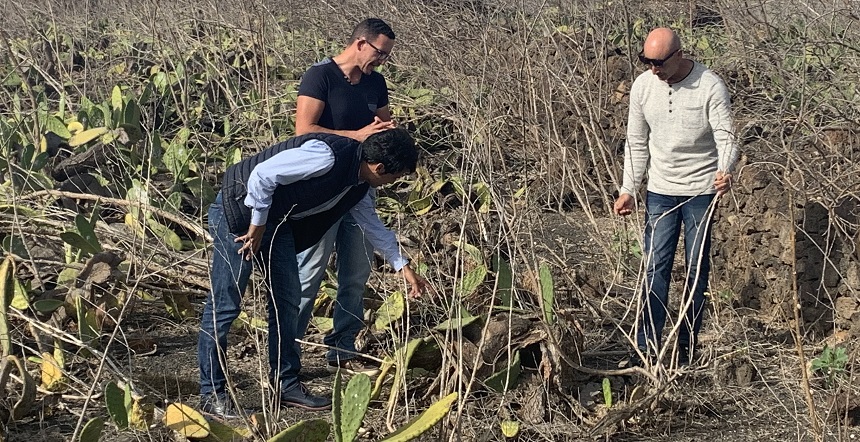 92ECA9C3-00FE-4261-8D37-394C5DA05D07