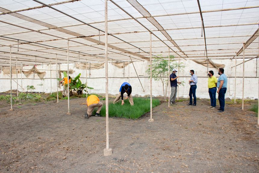 VISITA INVERNADERO 3