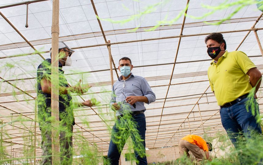 VISITA INVERNADERO 2