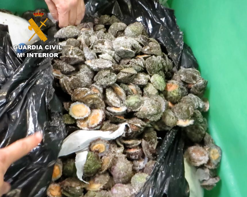 productos_pesqueros_conjelados_las_palmas_editada 2