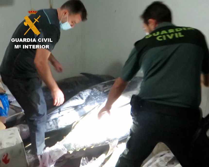 productos_pesqueros_conjelados_las_palmas_editada 1