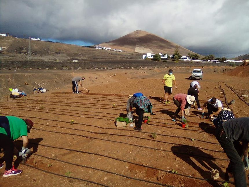 huertos comunitarios