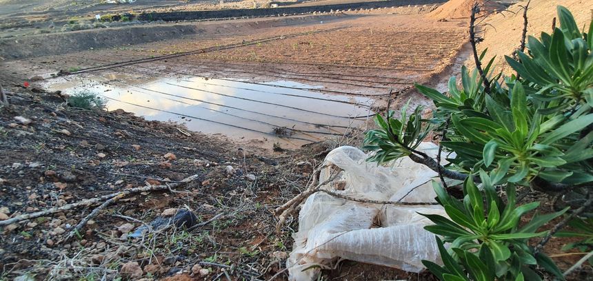 Realidad huerto comunitario Tías (2)