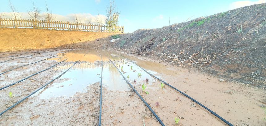 Realidad huerto comunitario Tías (4)