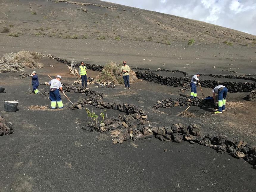 Visita a la zona de Emilio Machín, responsable de Sector Primario