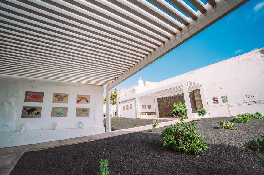 Exposición de alumnos de la Escuela Pancho Lasso en el Jardín de la Biosfera, una actividad organizada por el Ayuntamiento de Arrecife