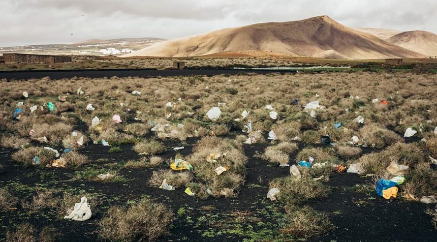 WhatsApp Image 2021-01-07 at 20.11.40