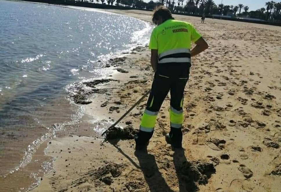 Personal de la empresa concesionaria de la red de alcantarillado de Lanzarote en la playa del Reducto retirando las compresas y toallitas