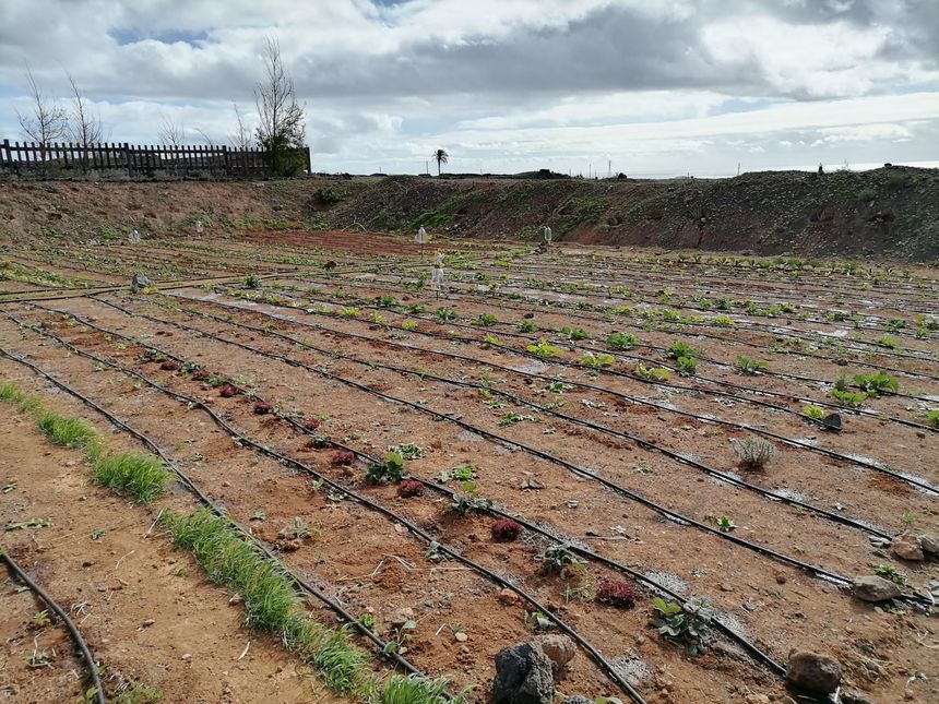 PHOTO-2020-12-31-07-18-05