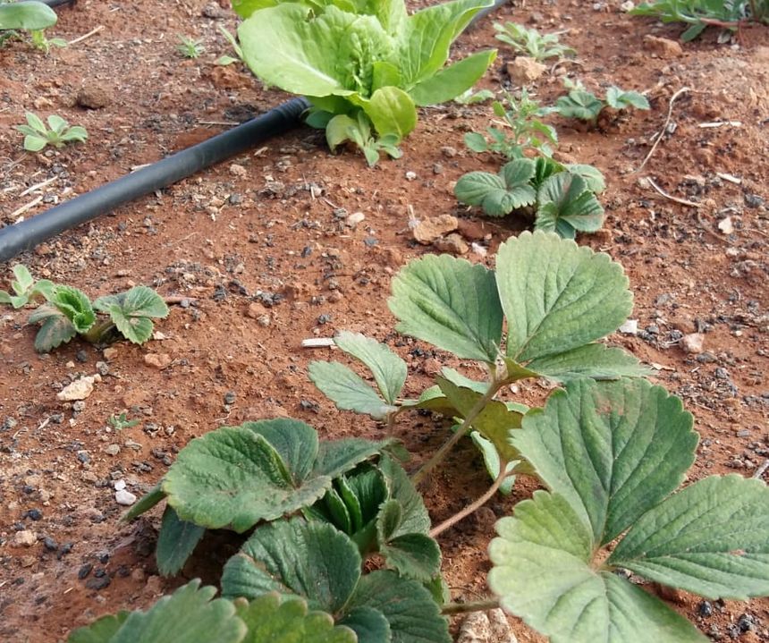 PHOTO-2020-12-31-07-18-02